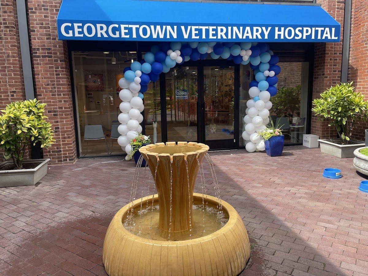 Georgetown Veterinary Hospital - Photo 2