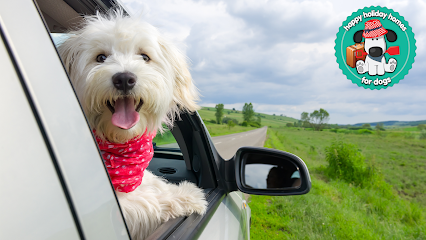 Digs for Dogs – Dog Home Boarding - Ramsbottom, Rossendale & Tottington,