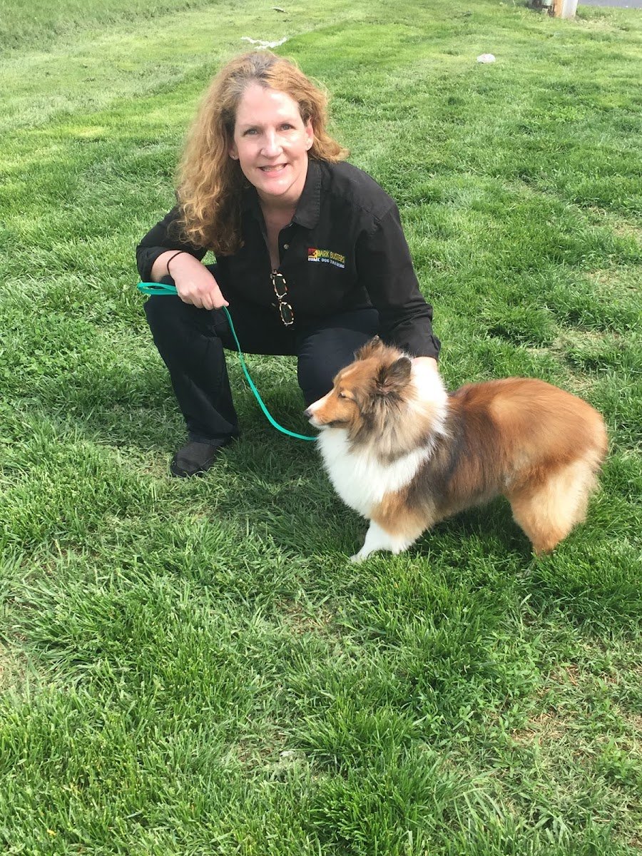 Bark Busters Home Dog Training Howard County - Photo 2