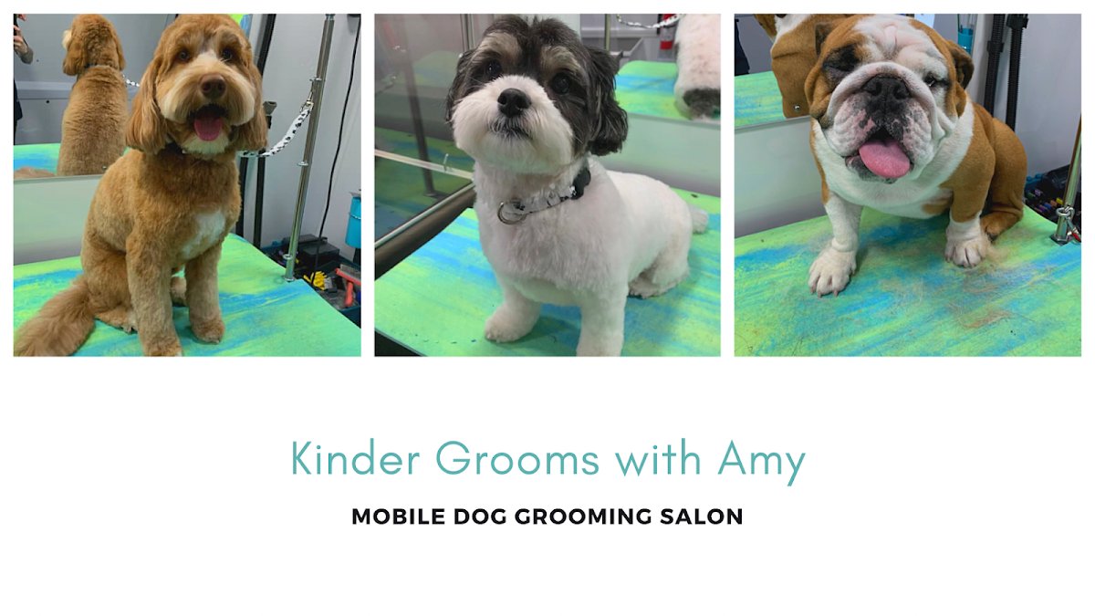 Kinder Grooms with Amy LLC - Photo 2