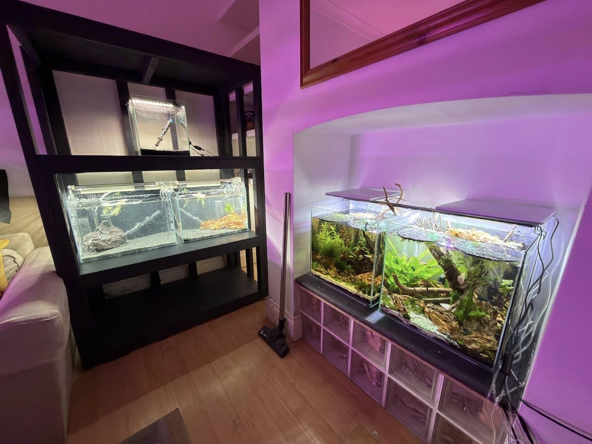 Shrimp Corner UK - Photo 2