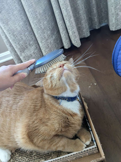 The Right Fluff Pet Sitting