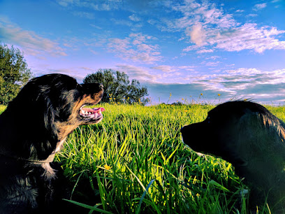 Copperbeech Boarding Kennels - Pet Shop in Bolton