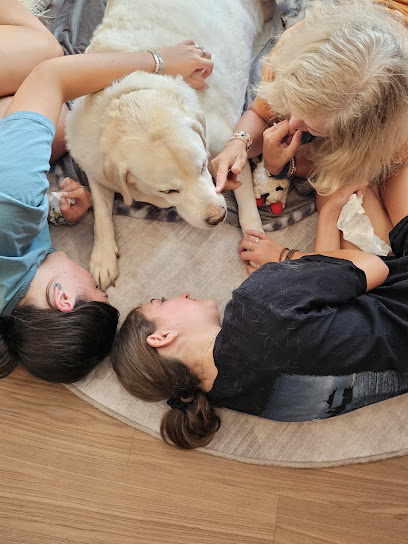 Home Veterinary Care of Northern Virginia