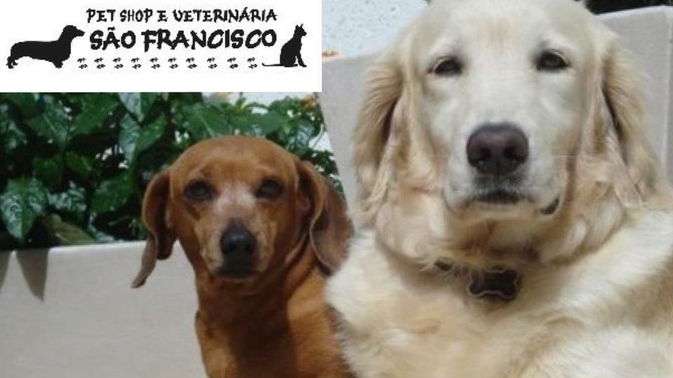 VeterinºRia FºNix - Pet Shop em Cabo Frio