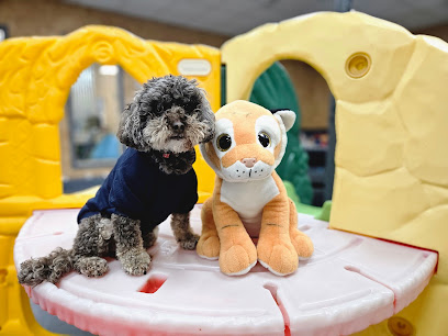 Ladys Little Paws Doggy Day Care - Pet Shop in Bolton