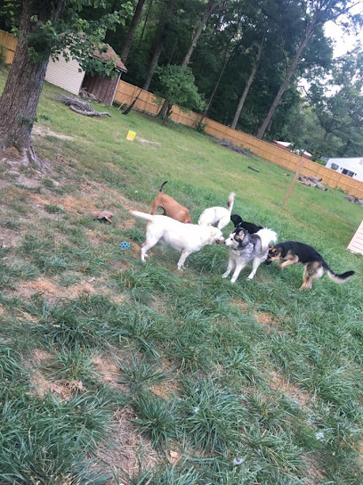 Pet Stay & Vacay, LLC