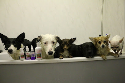 Quistel Limited - Pet Shop in Manchester