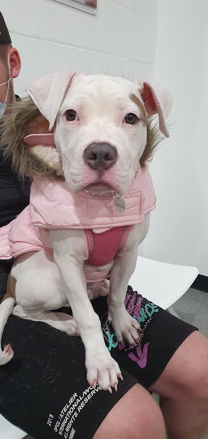 Vets for Pets - Bolton Central - Pet Shop in Bolton