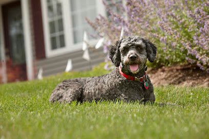 DogWatch of Northern Virginia