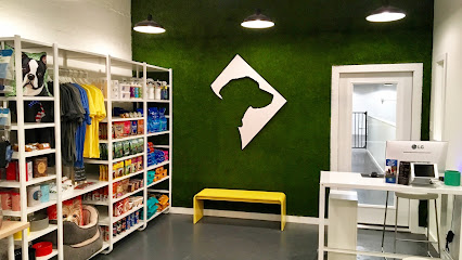 District Dogs Park View - Daycare & Boarding