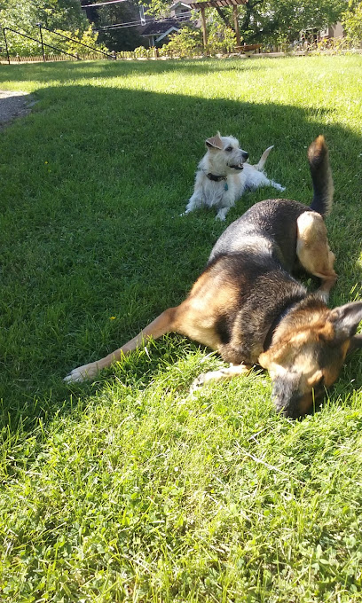 Furry Walks and Wash, LLC