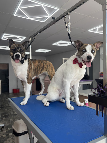 Skye’s Pretty Paws Dog Grooming - Pet Shop in Bolton
