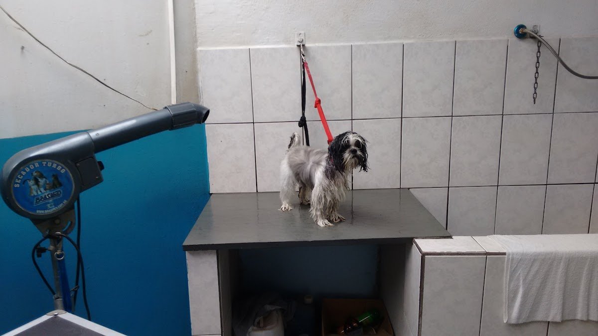 Banho de Cheiro Estética Animal