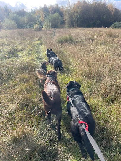 Neighbourhood Pet Care