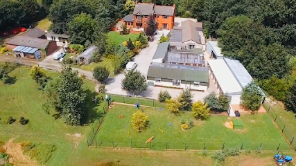 Bancroft Kennels & Cattery - Pet Shop in Warrington