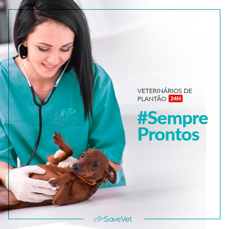 Eletrovet - Eletro Veterinaria