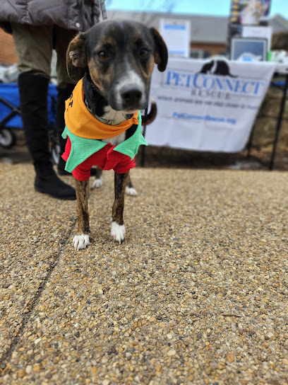 Jett's Pets - Pet Shop in Washington