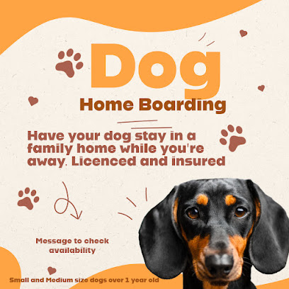 Dog Home Boarding with Louise - Pet Shop in Bolton