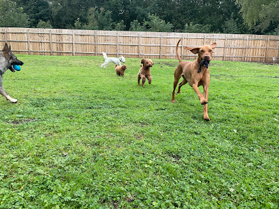 Pilmoor Wood Kennels