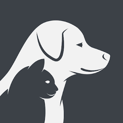 Mirfield Dog Walking