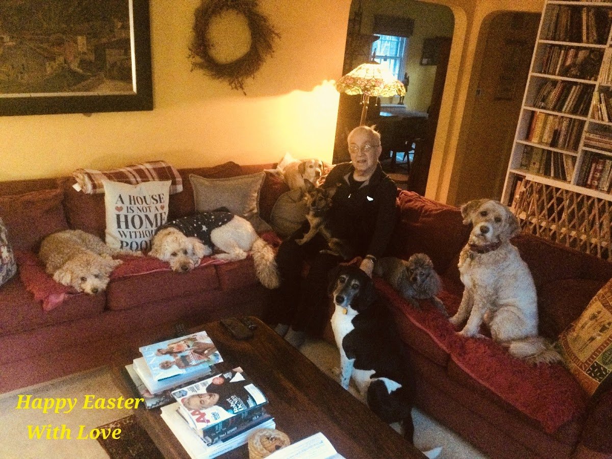 Personal Puppy Concierge - Photo 2