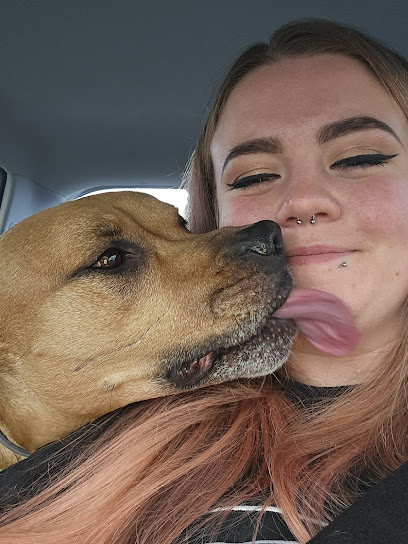 Dani's Doggies & Moggies