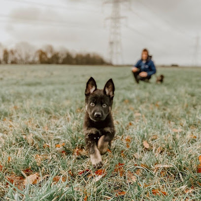 Finchpark K9 - Pet Shop in Leeds