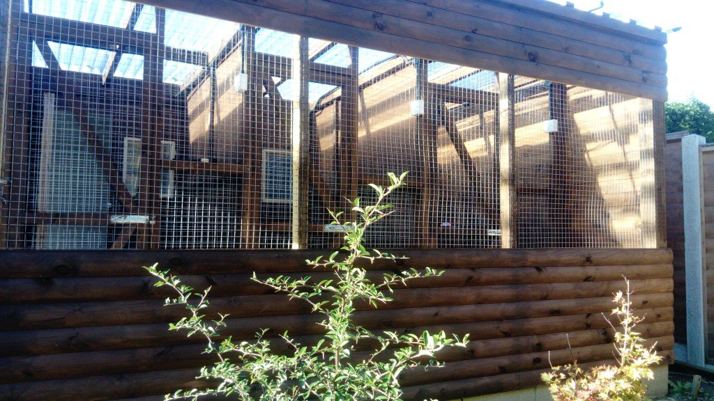 purr-inn bradford - Photo 2