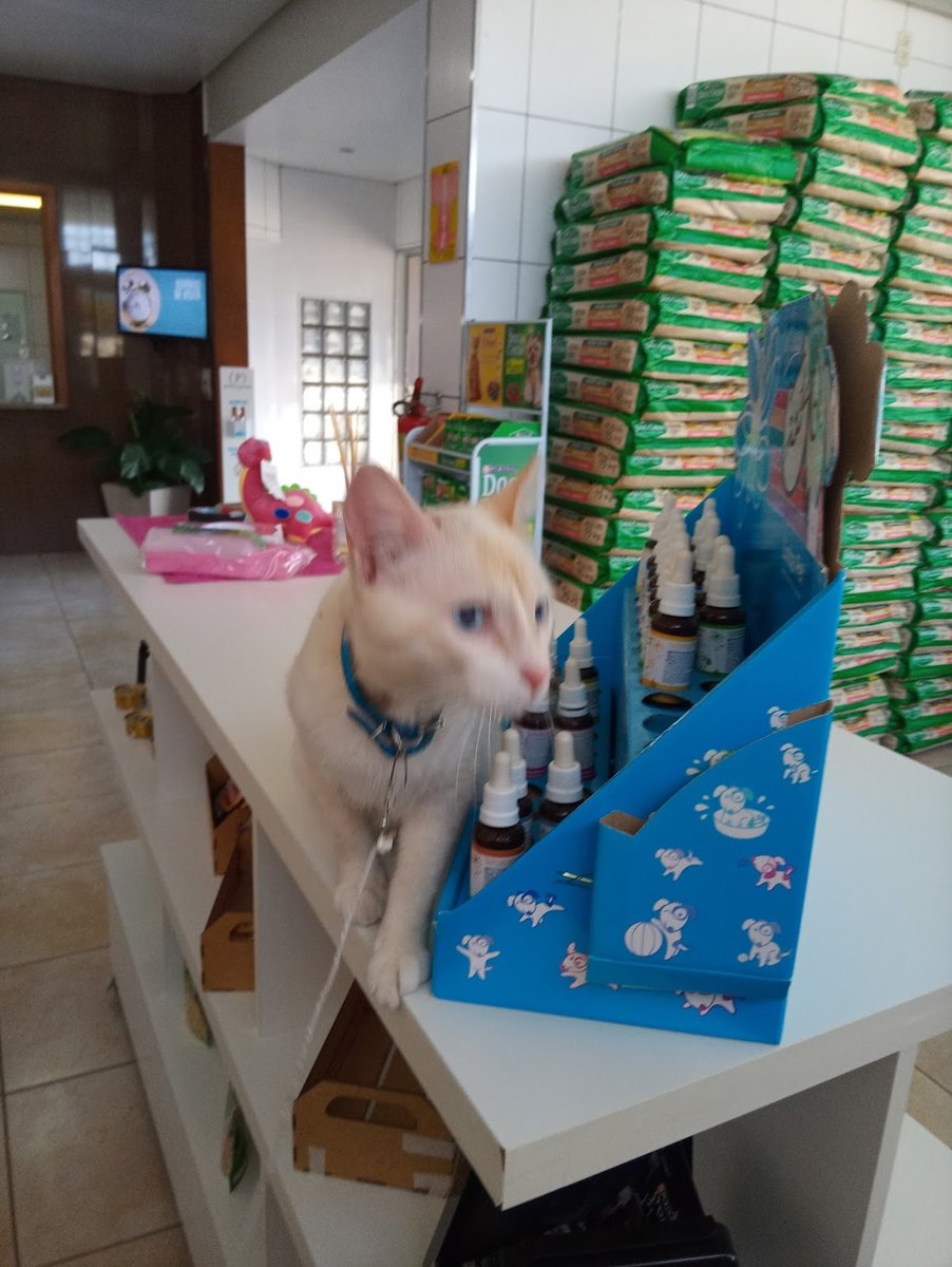 Centro Clínico Veterinário Bruno Gehrke