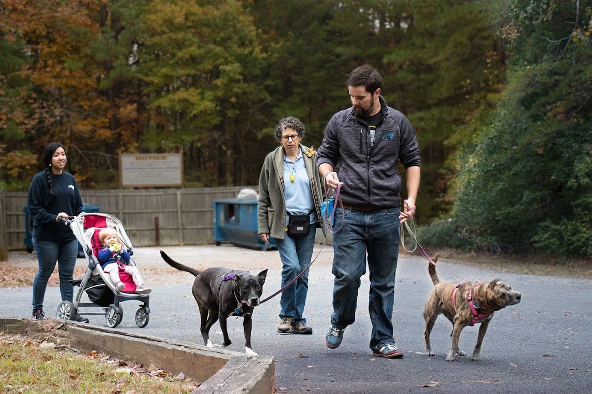 The Force Free Way Dog Training - Photo 2