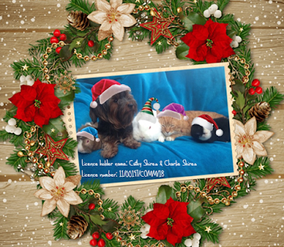 Tucana Home from Home