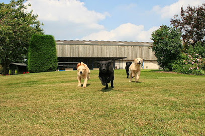 Studforth Boarding Kennels
