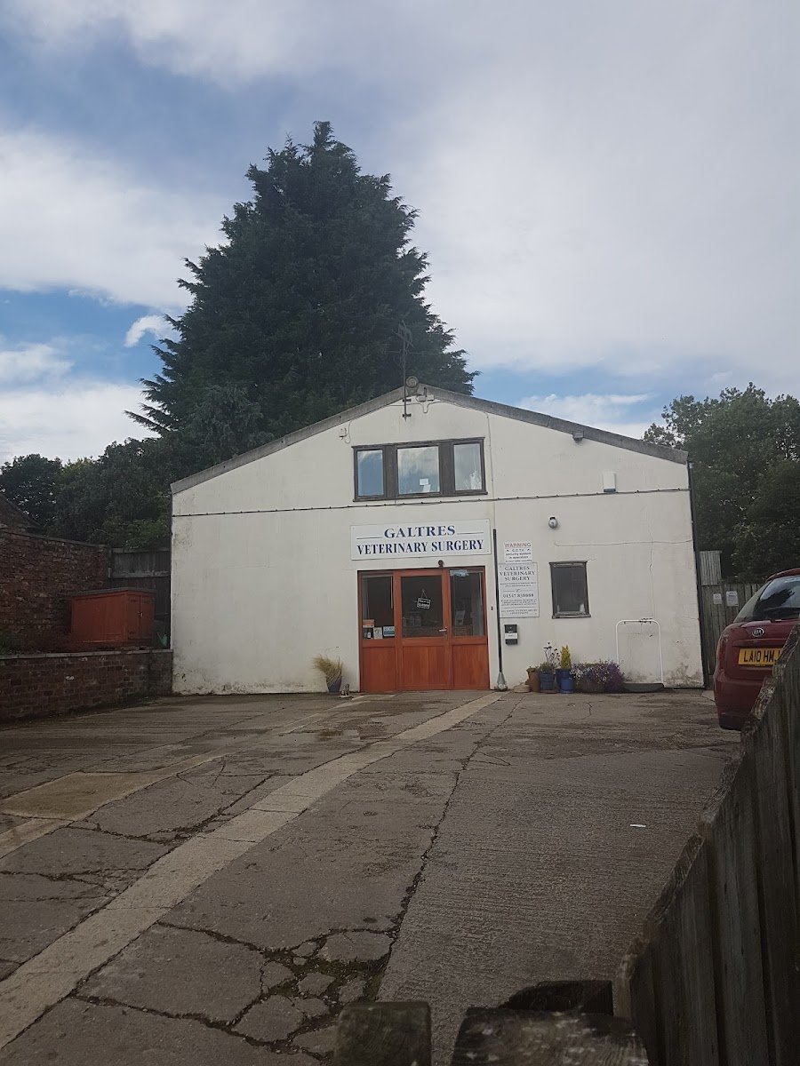 Galtres Veterinary Surgery - Photo 2