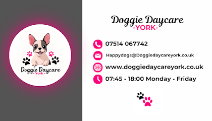 Doggie Daycare York