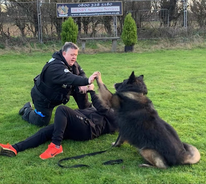 A1 Dog Training Centre - Pet Shop in Leeds