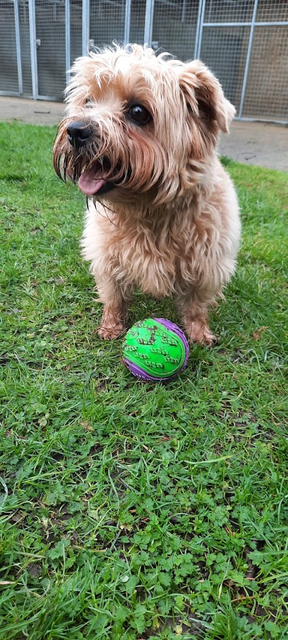Dunholme Grange Kennels & Cattery
