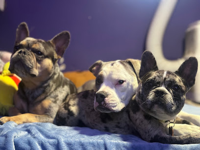 Bella's PAWesome Ohana