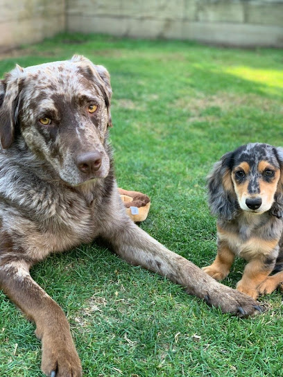 PetStay Leeds & Ilkley