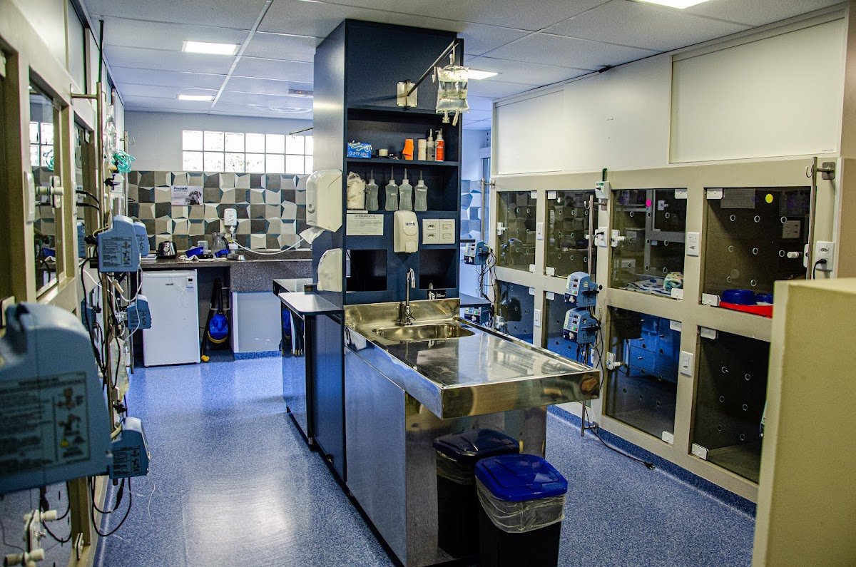 Clínica Veterinária Dr. Alessandro Pibernat