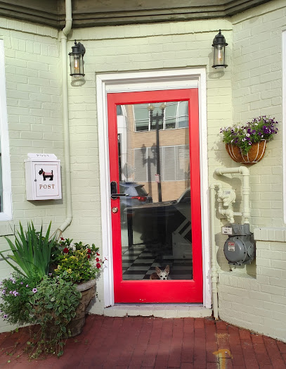 DC Petropolis - Pet Shop in Washington