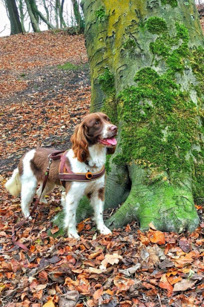 Bean Walkies Dog Walking and Pet Services - Pet Shop in Bradford