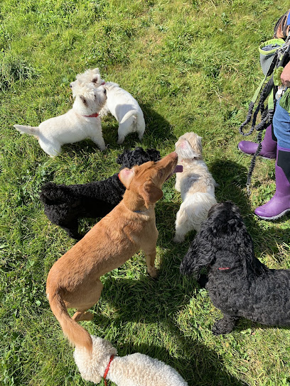 Strollnstaywithsuzie