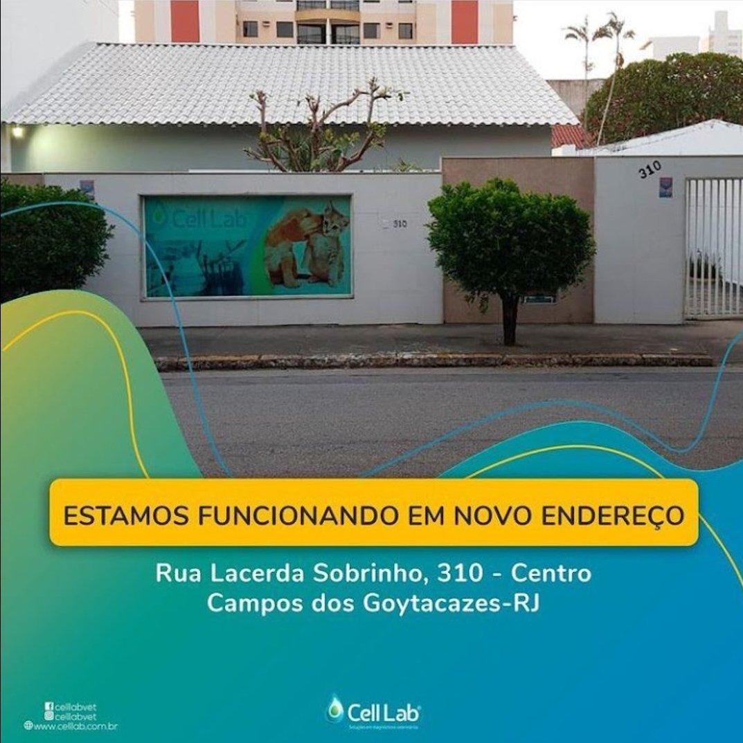 Cell Lab - Pet Shop em Campos dos Goitacazes