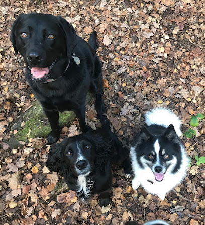 Furry Friends Pet Care - Pet Shop in Leeds