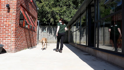 Askham Bryan Dog School and Boarding