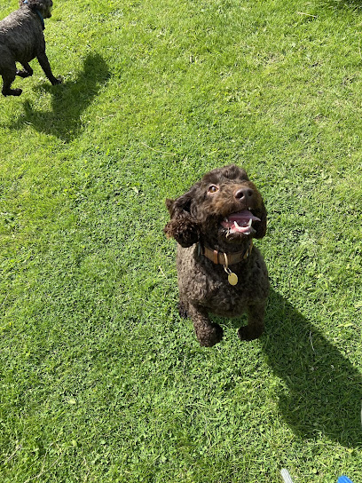 Wags and whiskers pet services - Pet Shop in Bradford