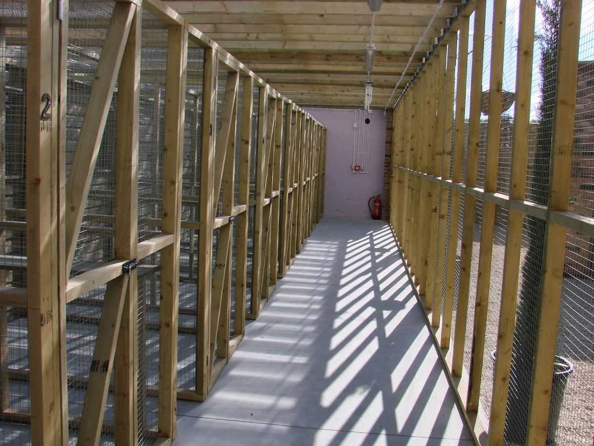 South View Cattery - Photo 2