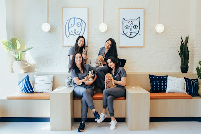 Bond Vet - Back Bay - Pet Shop in Boston