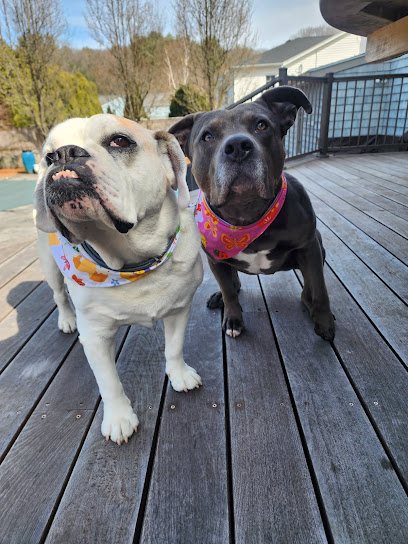 Gracie's Way Dog Walking & Boarding